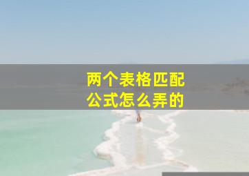 两个表格匹配公式怎么弄的