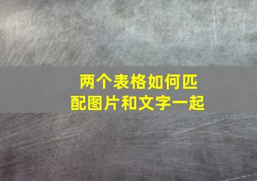 两个表格如何匹配图片和文字一起