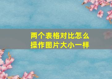 两个表格对比怎么操作图片大小一样