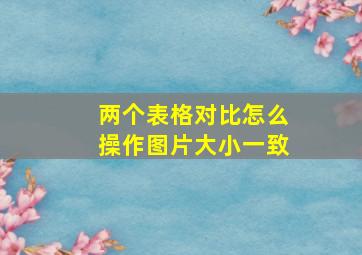 两个表格对比怎么操作图片大小一致