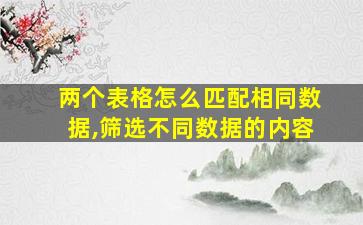 两个表格怎么匹配相同数据,筛选不同数据的内容