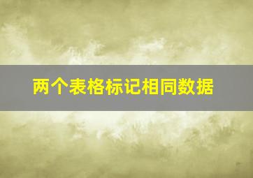 两个表格标记相同数据