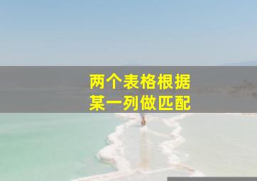 两个表格根据某一列做匹配