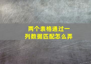 两个表格通过一列数据匹配怎么弄