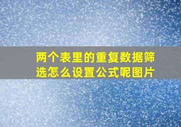 两个表里的重复数据筛选怎么设置公式呢图片