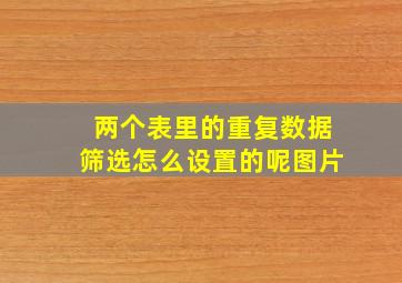 两个表里的重复数据筛选怎么设置的呢图片