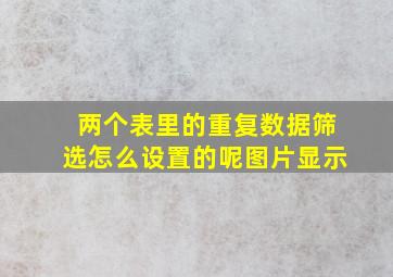 两个表里的重复数据筛选怎么设置的呢图片显示