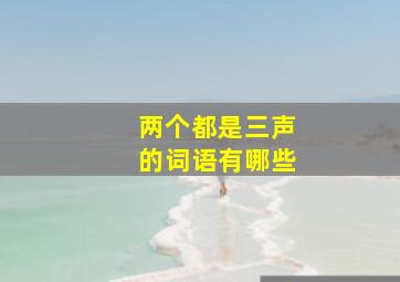 两个都是三声的词语有哪些