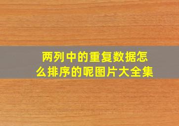 两列中的重复数据怎么排序的呢图片大全集