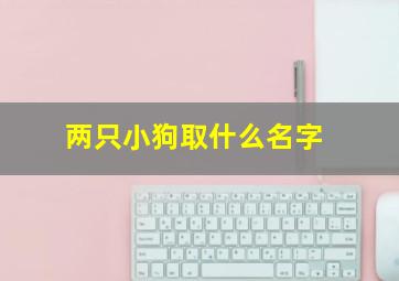 两只小狗取什么名字