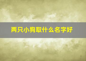 两只小狗取什么名字好