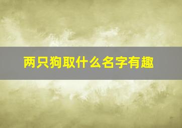 两只狗取什么名字有趣