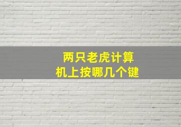 两只老虎计算机上按哪几个键