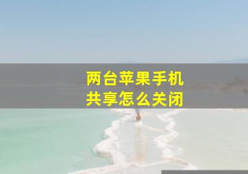 两台苹果手机共享怎么关闭