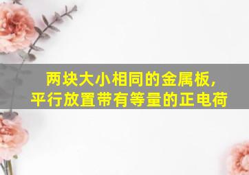 两块大小相同的金属板,平行放置带有等量的正电荷