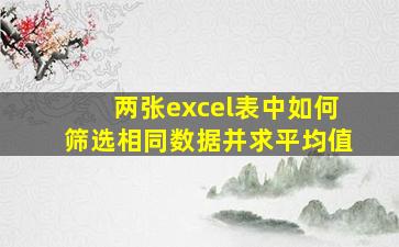 两张excel表中如何筛选相同数据并求平均值