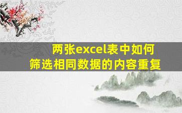 两张excel表中如何筛选相同数据的内容重复