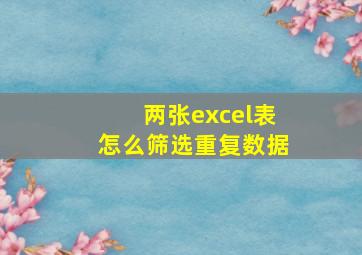 两张excel表怎么筛选重复数据