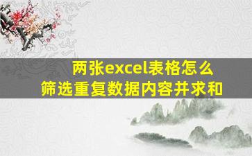 两张excel表格怎么筛选重复数据内容并求和