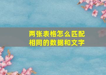 两张表格怎么匹配相同的数据和文字