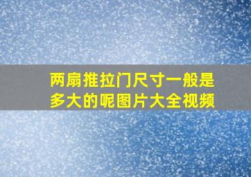 两扇推拉门尺寸一般是多大的呢图片大全视频