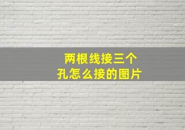 两根线接三个孔怎么接的图片