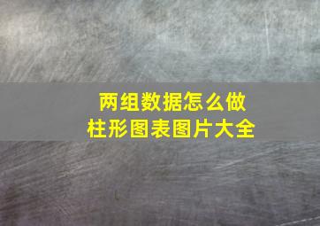 两组数据怎么做柱形图表图片大全