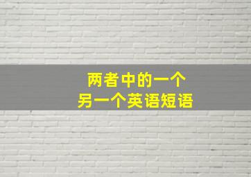 两者中的一个另一个英语短语