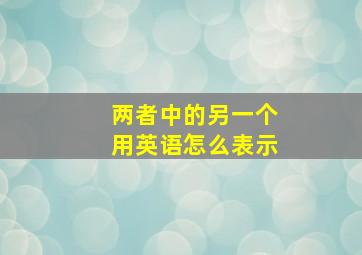 两者中的另一个用英语怎么表示