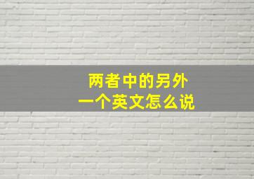 两者中的另外一个英文怎么说