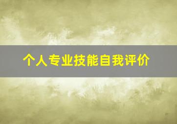 个人专业技能自我评价