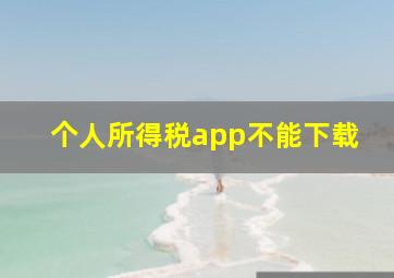 个人所得税app不能下载