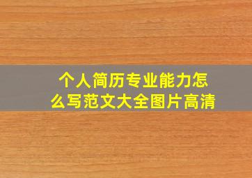 个人简历专业能力怎么写范文大全图片高清