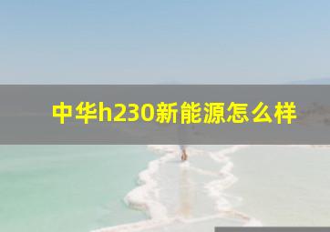 中华h230新能源怎么样