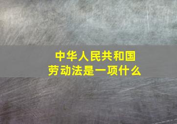 中华人民共和国劳动法是一项什么