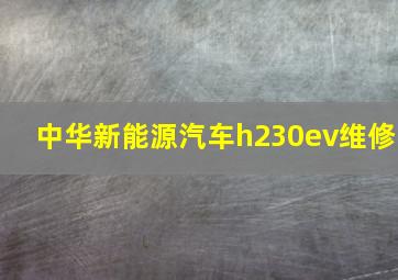 中华新能源汽车h230ev维修