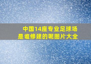 中国14座专业足球场是谁修建的呢图片大全