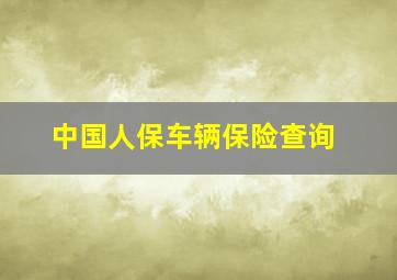 中国人保车辆保险查询