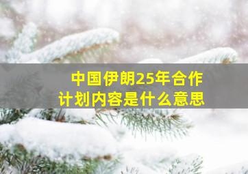 中国伊朗25年合作计划内容是什么意思