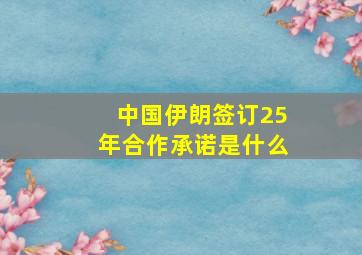 中国伊朗签订25年合作承诺是什么