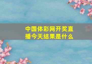 中国体彩网开奖直播今天结果是什么