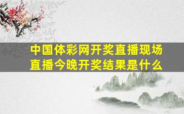 中国体彩网开奖直播现场直播今晚开奖结果是什么