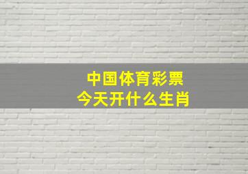 中国体育彩票今天开什么生肖