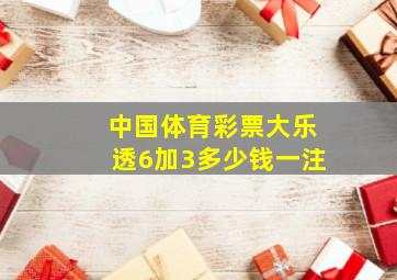 中国体育彩票大乐透6加3多少钱一注