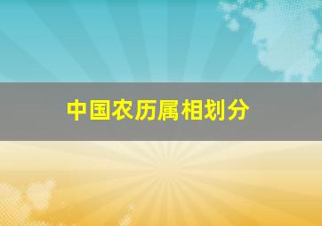 中国农历属相划分