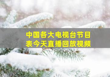 中国各大电视台节目表今天直播回放视频