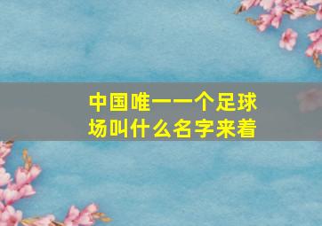 中国唯一一个足球场叫什么名字来着