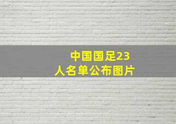 中国国足23人名单公布图片