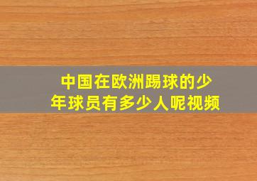 中国在欧洲踢球的少年球员有多少人呢视频