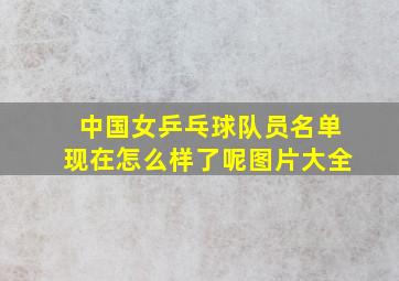 中国女乒乓球队员名单现在怎么样了呢图片大全